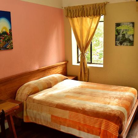 Hostal Loro Verde Quito Exteriér fotografie